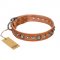 "Daily Chic" FDT Artisan Tan Leather Central Asian Shepherd Collar with Decorations