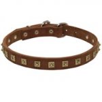 Handcrafted 1 Row Square Studded Leather Central Asian Shepherd Collar