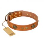 "Sun Beams" FDT Artisan Tan Leather Central Asian Shepherd Collar with Decorations