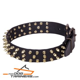 "Black Super Star" Leather Dog Collar with Brass Decorations