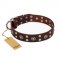"Pirate Treasure" FDT Artisan Exciting Brown Leather Central Asian Shepherd Collar with Studs
