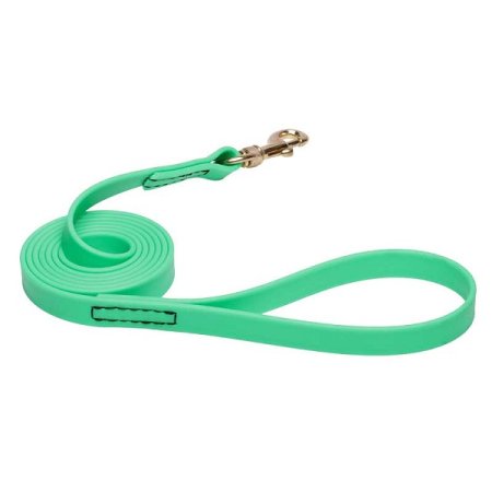 Green Waterproof Central Asian Shepherd Leash Made of Biothane