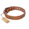 "Stunning Dress" FDT Artisan Tan Leather Central Asian Shepherd Collar with Old Bronze Look Plates and Studs