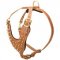 Brass Spiked Leather Central Asian Shepherd Harness for Fashion Walking
