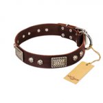 "Pirate Skull" FDT Artisan Brown Leather Central Asian Shepherd Collar with Old Silver Look Plates and Skulls