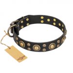 "Baroque Chic" FDT Artisan Studded Black Leather Central Asian Shepherd Collar