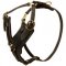 Padded Leather Central Asian Shepherd Harness for Agitation Training