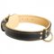 Padded Leather Central Asian Shepherd Collar