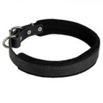 Padded Leather Central Asian Shepherd Collar 25 mm for Dog Training