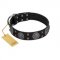"Boundless Blue" FDT Artisan Black Leather Central Asian Shepherd Collar with Chrome Plated Brooches and Square Studs
