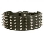 Central Asian Shepherd Leather Collar Spiked and Studded