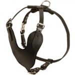 Adjustable Leather Central Asian Shepherd Harness for Attack / Agitation Training