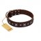 "Stellar Fairy " FDT Artisan Brown Leather Central Asian Shepherd Collar with Chrome-plated Star-like Decorations