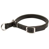 Central Asian Shepherd Leather Choke Collar