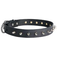 Central Asian Shepherd Leather Collar Spiked 30 mm