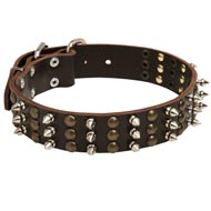 Central Asian Shepherd Spikes and Studs Rows Leather Dog Collar