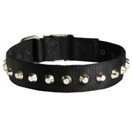 Our high quality Brass Herm Sprenger fur savers are perfect for every dog and every budget.
