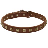 Handcrafted 1 Row Square Studded Leather Central Asian Shepherd Collar