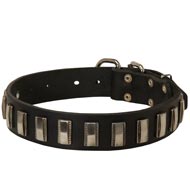 Central Asian Shepherd Leather Collar with Shiny Plates