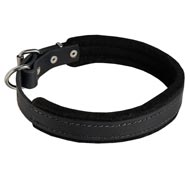 Padded Leather Central Asian Shepherd Collar 25 mm for Dog Training