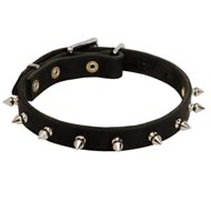 Central Asian Shepherd Leather Collar Spiked 3/4 Inch