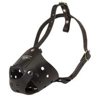 Everyday Leather Central Asian Shepherd Muzzle for Training