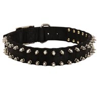 Central Asian Shepherd Nylon Collar Spiked