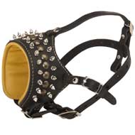 Royal Spiked and Studded Leather Central Asian Shepherd Muzzle