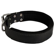 Central Asian Shepherd Durable Padded Leather Collar 40 mm