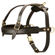Leather Central Asian Shepherd Harness for Tracking and Pulling