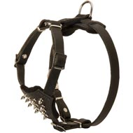 Durable Spiked Leather Puppy Central Asian Shepherd Harness