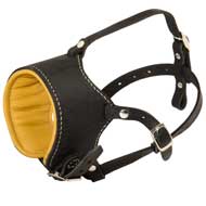 Snout Short Leather Central Asian Shepherd Muzzle Padded with Nappa Leather