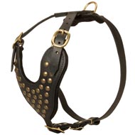 Adjustable Studded Leather Central Asian Shepherd Harness for Fashion Walking