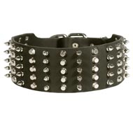 Central Asian Shepherd Leather Collar Spiked and Studded