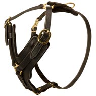 Padded Leather Central Asian Shepherd Harness for Agitation Training