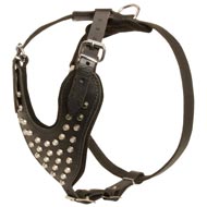 Adjustable Leather Central Asian Shepherd Harness Studded for Fashion Walking