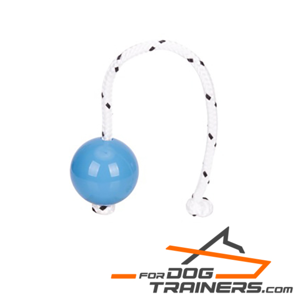 Blue ball for fun