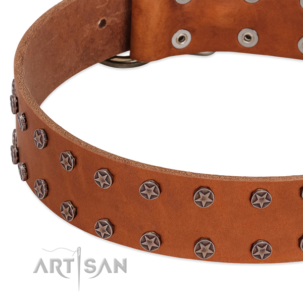 Easy adjustable full grain genuine leather dog collar for stylish walking
