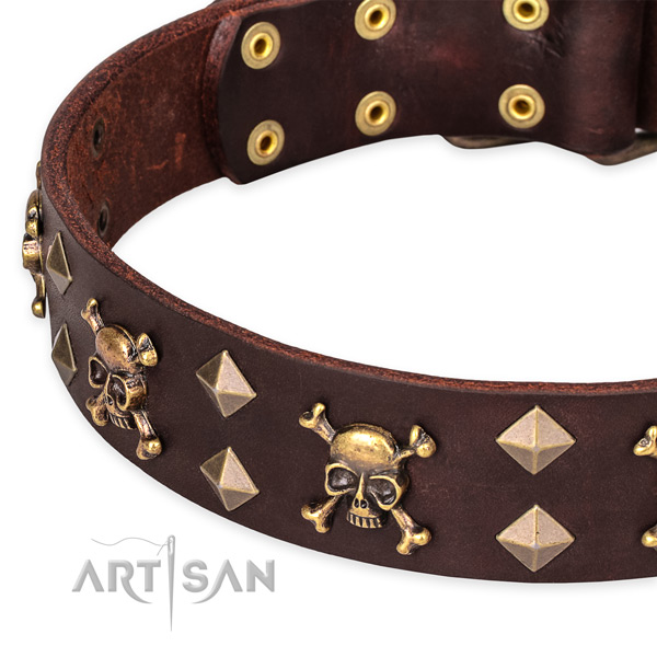 Everyday walking studded dog collar of quality genuine leather