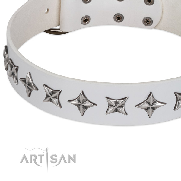 Fancy walking adorned dog collar of reliable leather