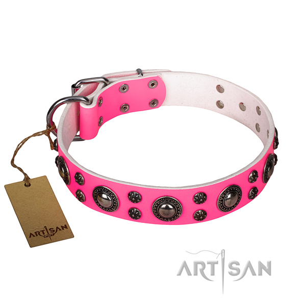 Easy wearing dog collar of top notch natural leather with decorations