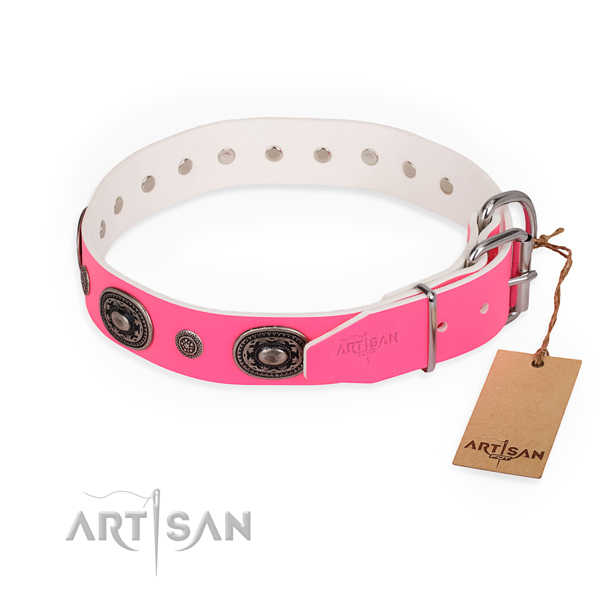 Walking stylish design dog collar with corrosion resistant D-ring