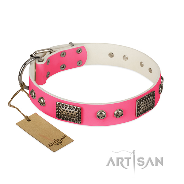 Easy to adjust full grain leather dog collar for basic training your pet