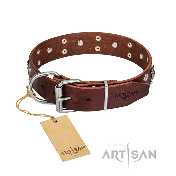 Daily use dog collar of top notch full grain leather with adornments