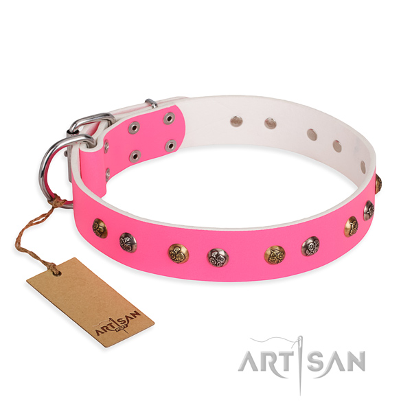Easy wearing fine quality dog collar with durable D-ring