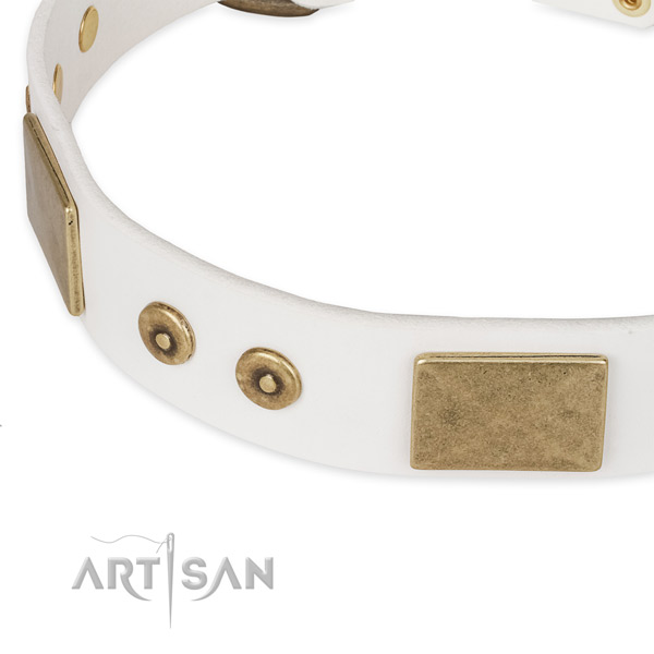 Corrosion proof D-ring on genuine leather dog collar for your doggie