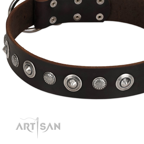 Exceptional decorated dog collar of top quality full grain natural leather