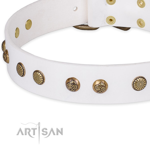 Full grain leather collar with rust resistant traditional buckle for your handsome doggie