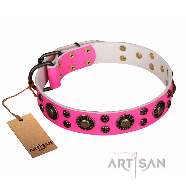 Handy use dog collar of reliable genuine leather with studs