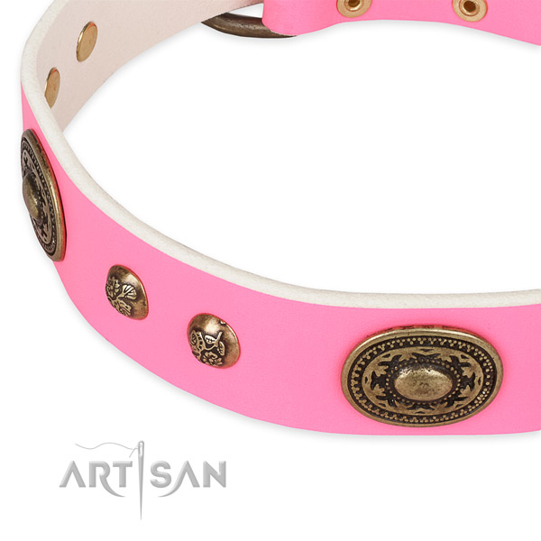 Trendy leather collar for your attractive four-legged friend